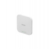 Netgear 1PT BUSINESS WIFI 6 2+2 AP (WAX610-100EUS)