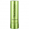 Teaology Matcha Tea balzam na pery, 4 g