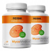 REISHI extrakt MycoMedica 90 kapsúl