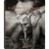 Elephants in Heaven