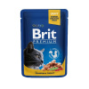 BRIT Cat Adult Premium kapsička Salmon & Trout 100g