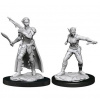 D&D Nolzur's Marvelous Miniatures - Shifter Rogue Female