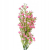 Umelý kvet – dekoratívne vetvičky s ružovými kvetmi – 33 cm