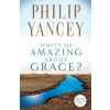 What's So Amazing About Grace?