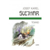 Temno - Josef Karel Šlejhar