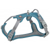 Postroj PREMIUM ACTIVE, S: 35-50 cm / 15 mm, petrolejová