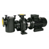 Bazénové čerpadlo IE3 Saci CF-4 750 (1.450 RPM) 400/690 V