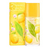 Elizabeth Arden Green Tea Citron Freesia - EDT Objem: 100 ml