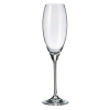 CRYSTALITE BOHEMIA BOHEMIA CARDUELIS POHÁR NA ŠAMPANSKÉ 290ML SADA 6 KS