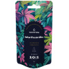 Canntropy Extrakt z marihuany (Leonurus sibiricus) 10:1, 5 g - 100 g 25 gramov