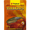 Tropical Triops - 10 g