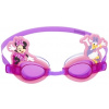 Bestway Disney Minnie Mouse & Daisy Duck