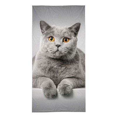 DETEXPOL Osuška Mačka sivá Bavlna - Froté, 70/140 cm