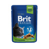 BRIT Cat Sterilised Premium kapsička Chicken Slices 100g