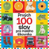 Prvých 100 slov pre malé…