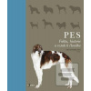 Pes (Ádám Miklósi)