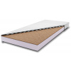 Eoshop Pěnová matrace Korel plus kokos 140x200, 10 cm výška, H3/H4 (Potah: Aloe vera)