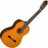 Klasická gitara Washburn Flamenco Pravá