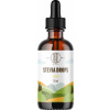 BrainMax Pure Stevia drops, Stévia kvapky, rôzne druhy, 50 ml Príchuť: Citrón Tekuté sladidlo s nulovým glykemickým indexom, bez kalórií, náhrada cukru