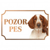 Welšský špringeršpaniel - Kovová tabuľka POZOR PES