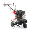 V-Garden PUBERT ECOMAX 65B C2
