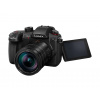 Panasonic GH5 II + Leica DG Vario-Elmar 12-60 mm f/2.8 -4.0 ASPH Power O.I.S.