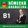 Německá gramatika B1 - Různí (mp3 audiokniha)