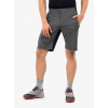 Kraťasy Dynafit Transalper 2 Light DST Shorts - magnet