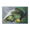 Stan Delphin 3D Carp 60 x 40 cm