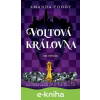 E-kniha Voltová královna - Amanda Foody