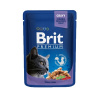 BRIT Cat Adult Premium kapsička Cod Fish 100g