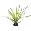 Repti Planet rastlina Spartina 30 cm