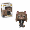 FUNKO Pop! Vinyl: Harry Potter - Hermione Granger (as Cat), zberateľská figúrka, film a seriály