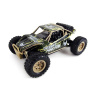 Amewi Desert Truck Max Fox zelená RC auto RTR 2.4GHz 700mAh 1:24