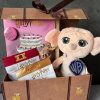 Harry Potter Darčeková sada - Dobbyho sladkosti