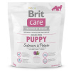 BRIT Care Grain-free Puppy Salmon & Potato 1kg