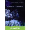 E-kniha Trinásta komnata - Gabriela Spustová Izakovičová