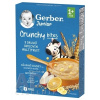 Gerber Junior Nemliečna kaša s chrumkavými kúskami ovocná - multifruit (od ukonč. 1. roku) 1x200 g, 8445291220881