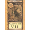 Čarovná říše víl - Ted Andrews
