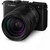 Panasonic Lumix DC-S9