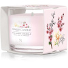 YANKEE CANDLE Pink Cherry & Vanilla Sampler 37 g