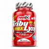 Tribulus terrestris kapsuly Amix, prírodný doplnok, 125 g, 90 ml