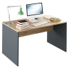 Tempo Kondela Písací stôl, grafit/dub artisan, RIOMA NEW TYP 11 (140x76x80cm)
