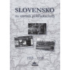 Slovensko na starých pohľadniciach 1918 - 1939 - Ján Hanušin, Daniel Kollár, Ján Lacika