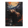 Spací pytel NILS Camp NC3601 Bear 3v1, 200x140 cm