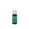 Tierra Verde Esenciálny olej BIO Eukalyptus objem: 10ml