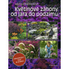 Květinové záhony od jara do podzimu - Zahradničení pro každého - Helga Gropperová