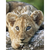 Baby Animals - Michael Poliza