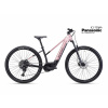 CTM ROXXY GX PRO 2025