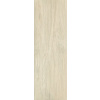 PARADYZ Wood Basic Bianco gresová dlažba matná 20 x 60 cm